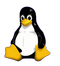Ohne meinen Pinguin gehe ich nicht surfen!